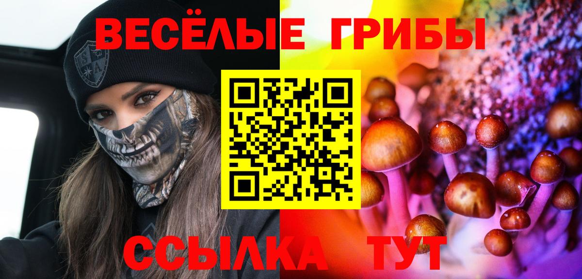 Галлюциногенные грибы Psilocybine cubensis Прохладный
